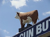 QLD - Brisbane - Underwood - Big Cow